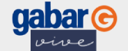 logo-gabar-vive